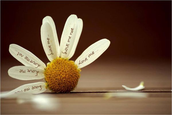 BUG Jam Live! February 11, 2026